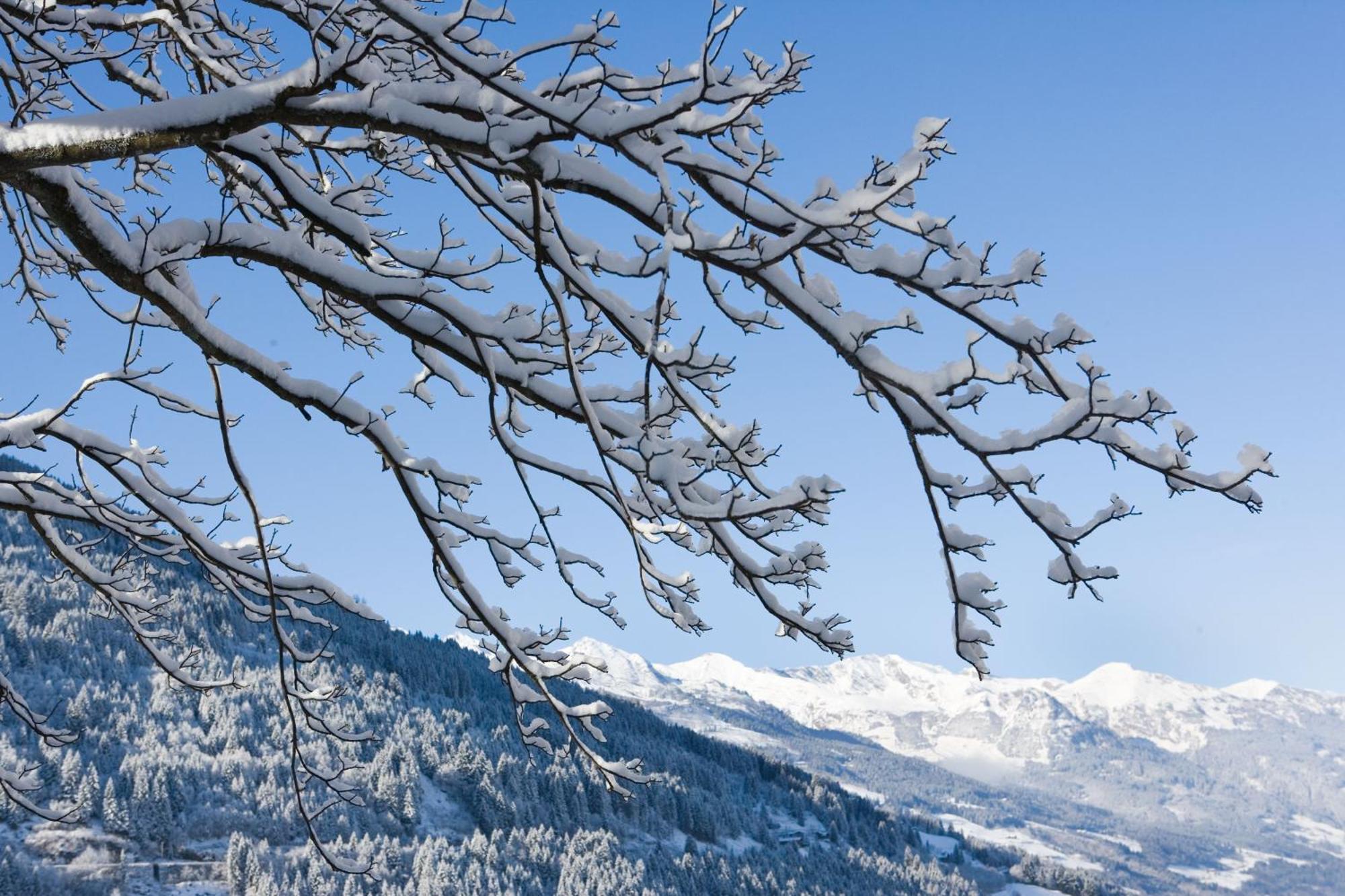 Alpine Spa Hotel Haus Hirt Bad Gastein Luaran gambar